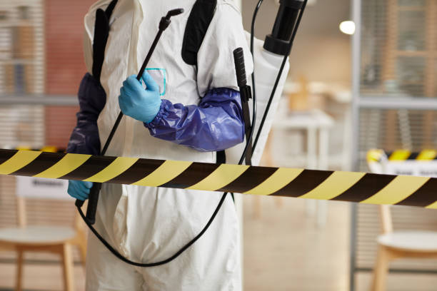Professional Sewage Cleanup technician working in Danville, CA